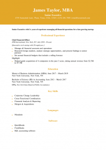 Chief Financial Officer Resume Examples Entry Level