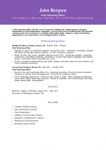 Chief Marketing Officer Resume Example