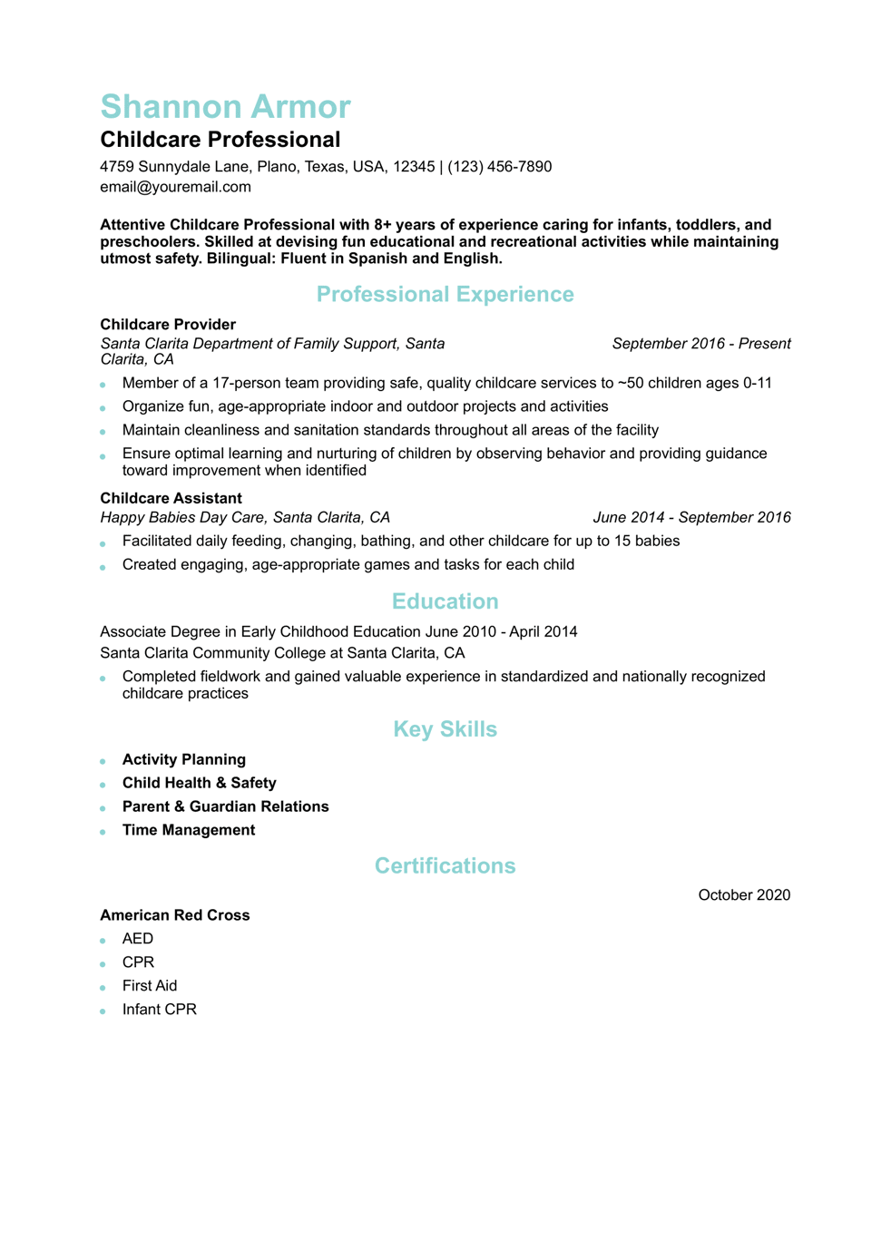 Child Care Resume Example