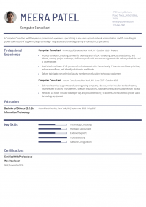 Computer Consultant Resume Examples Entry Level