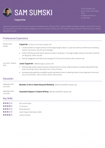 Copywriter Resume Examples Entry Level