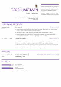 Copywriter Resume Examples Senior-Level