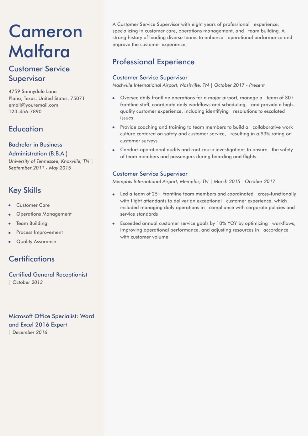 Customer Service Supervisor Resume Example