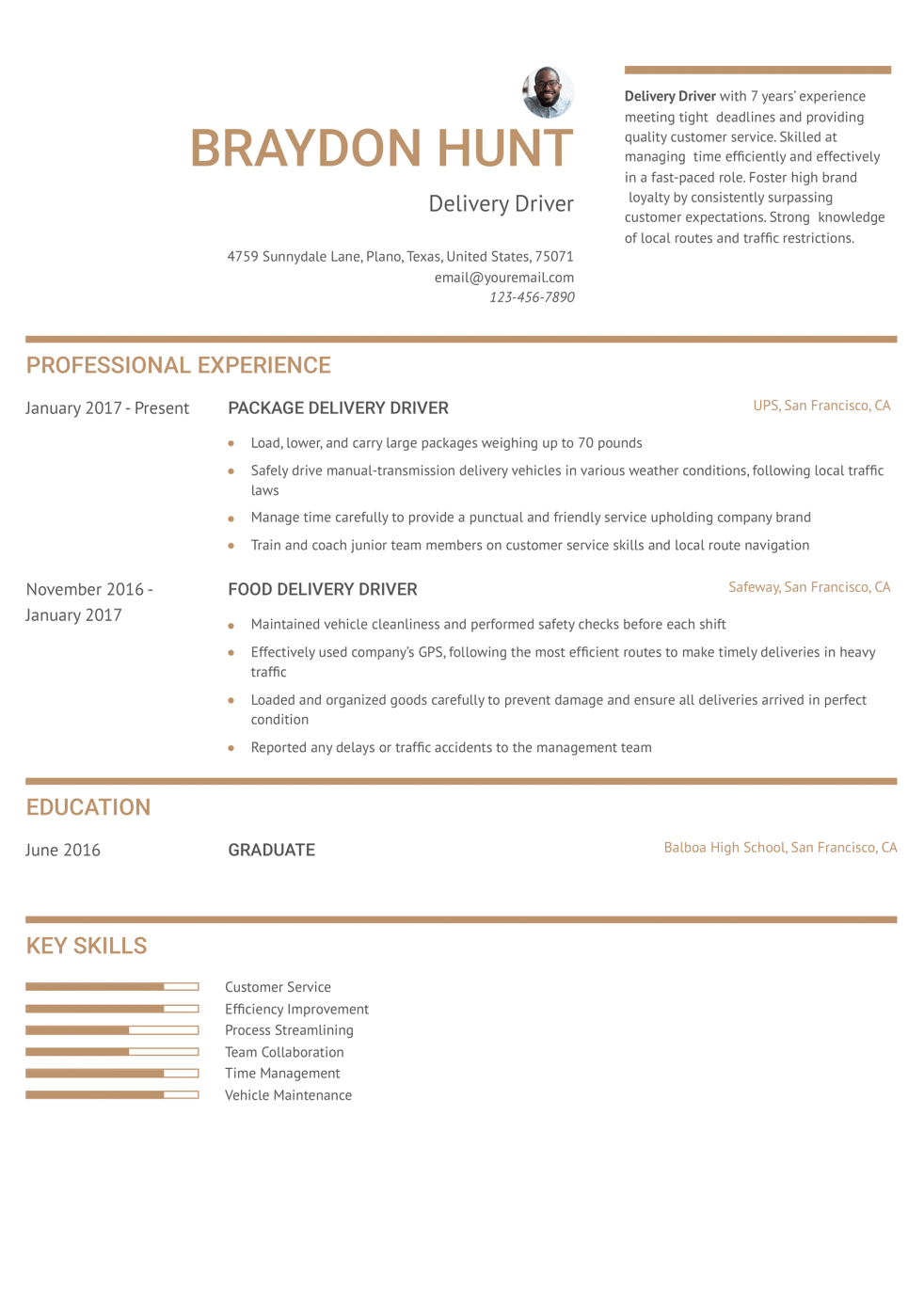 Delivery Driver Resume Example