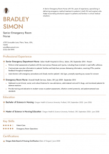 Emergency Room Nurse Resume Examples Senior-Level