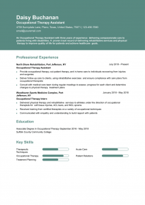 Health Care Support Resume Examples Entry Level