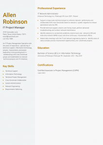 IT Project Manager Resume Examples Entry Level