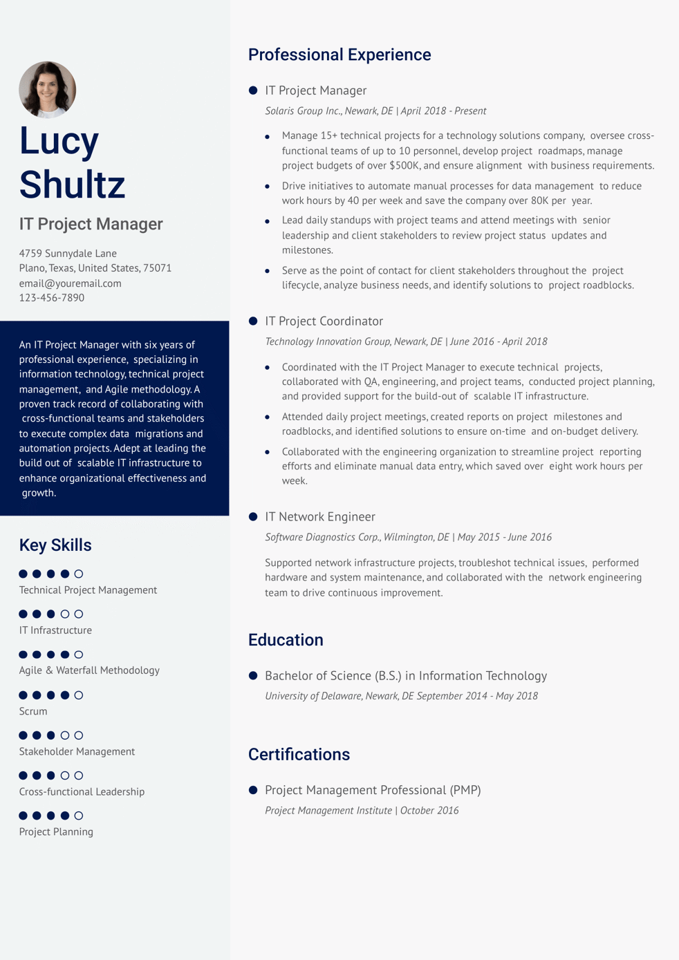 IT Project Manager Resume Example