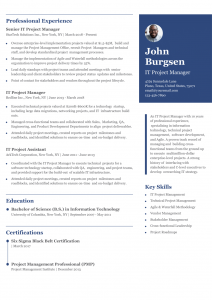 IT Project Manager Resume Examples Senior-Level