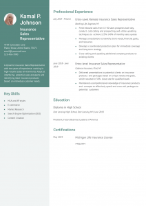 Insurance Sales Resume Examples Entry Level