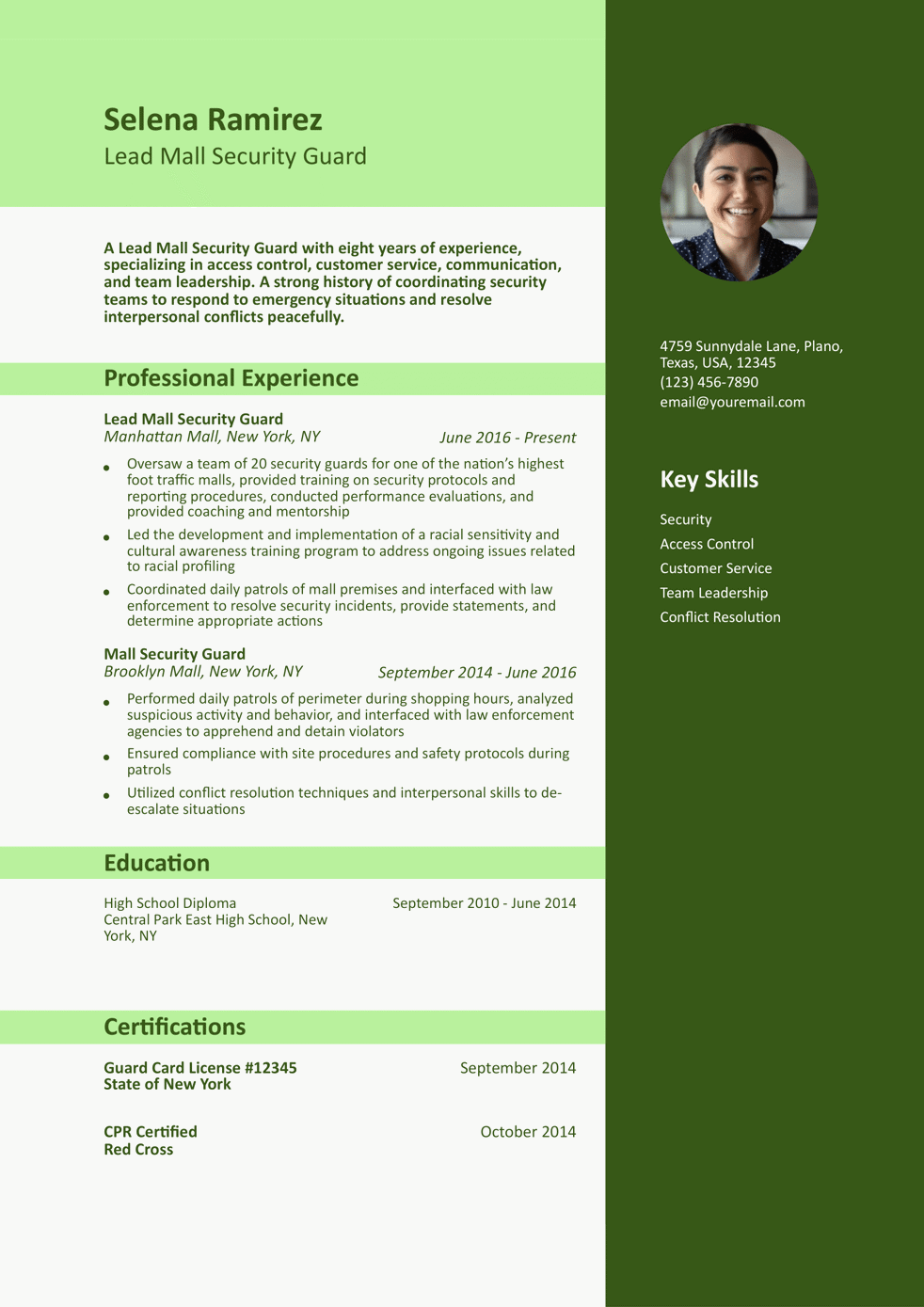 Mall Security Guard Resume Example