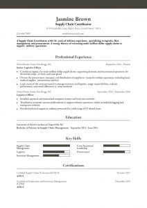 Military-To-Civilian Resume Examples Senior-Level