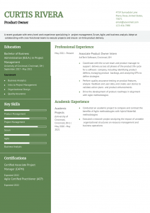 Product Owner Resume Examples Entry Level