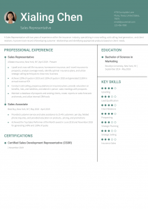 Sales Representative Resume Examples Mid-Career