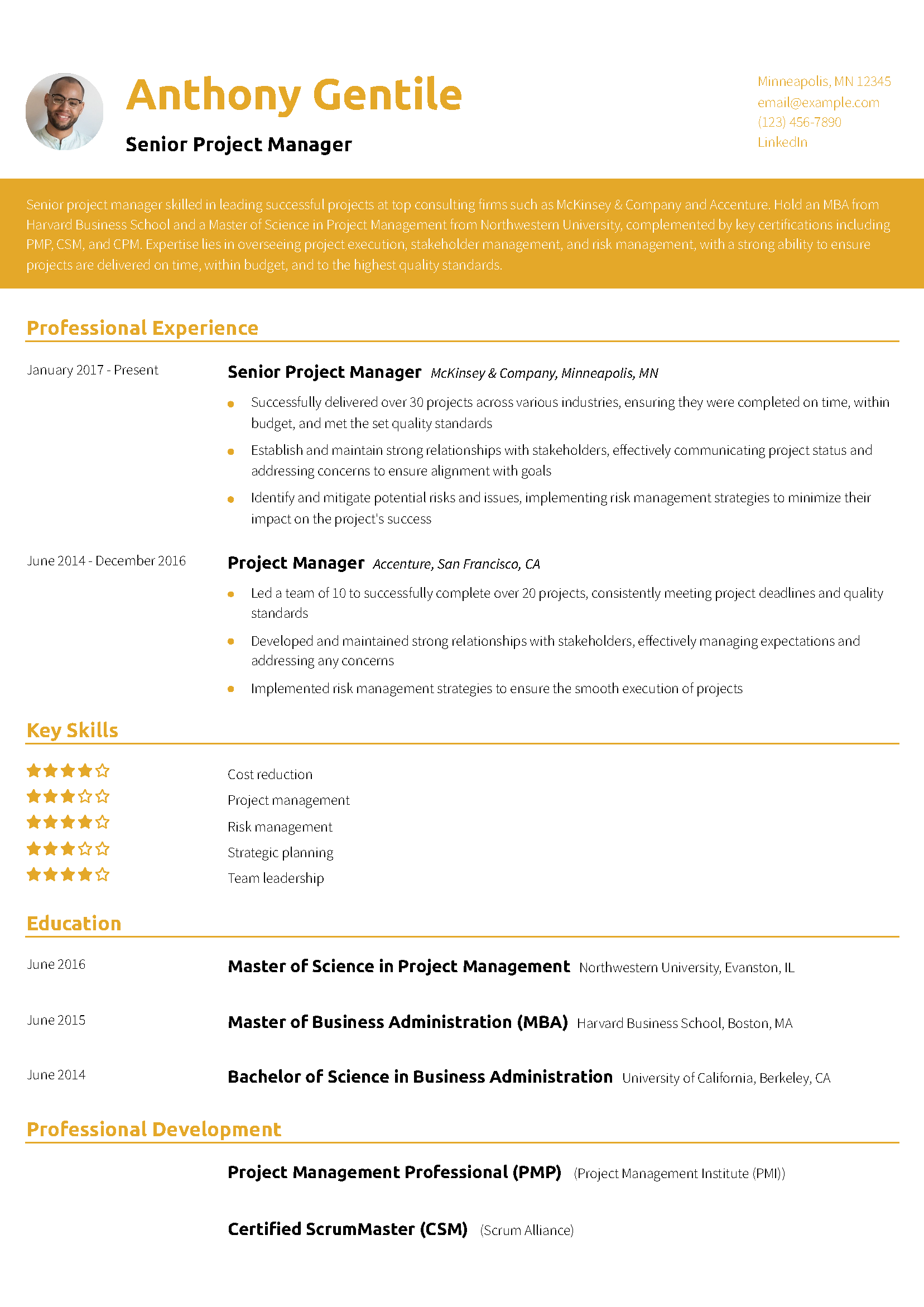 Senior Project Manager Resume Example