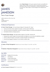 Senior Project Manager Resume Examples Senior-Level