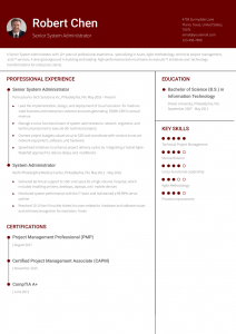 System Administrator Resume Examples Senior-Level