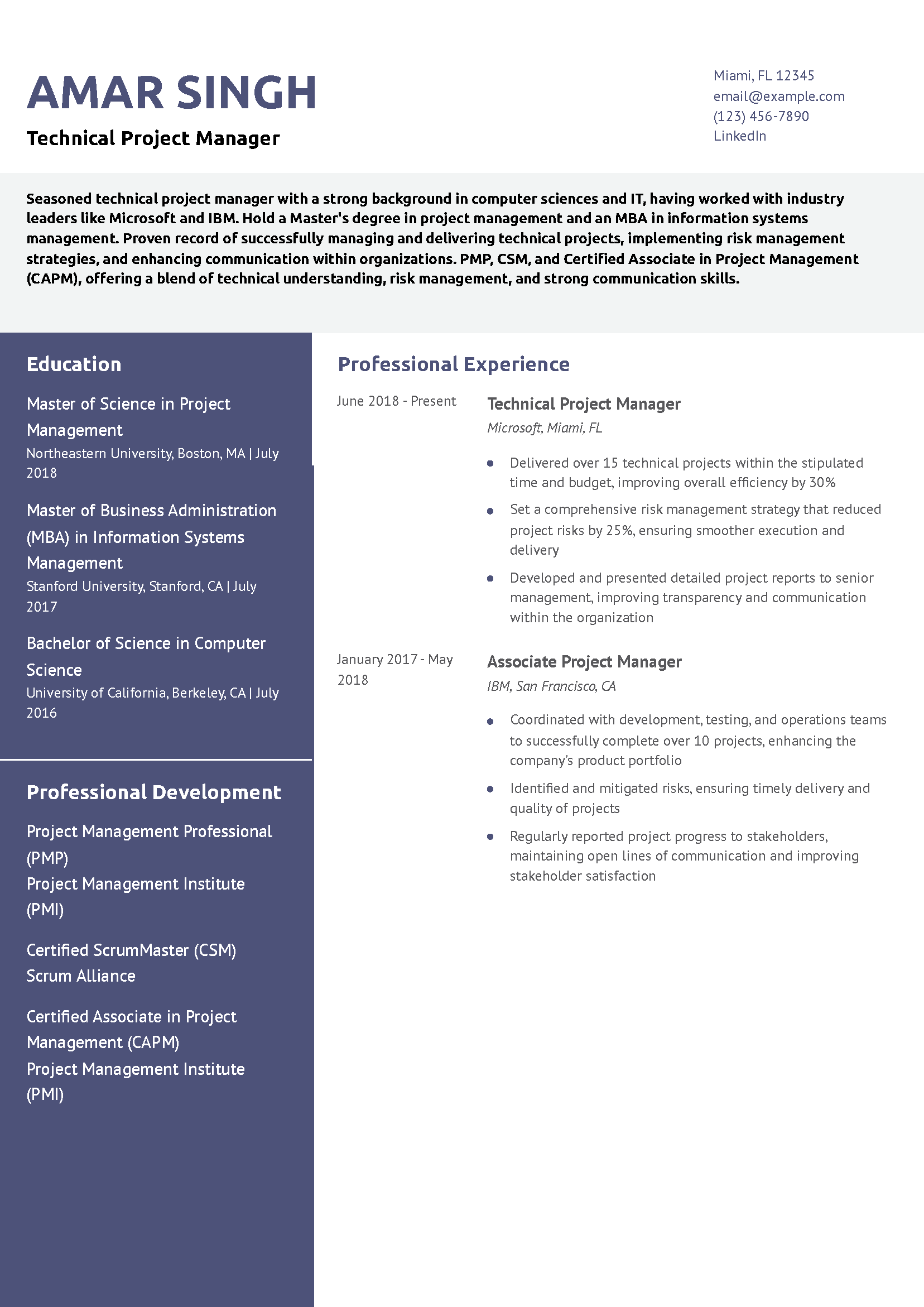 Technical Project Manager Resume Example