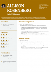 Web Designer Resume Examples Entry Level