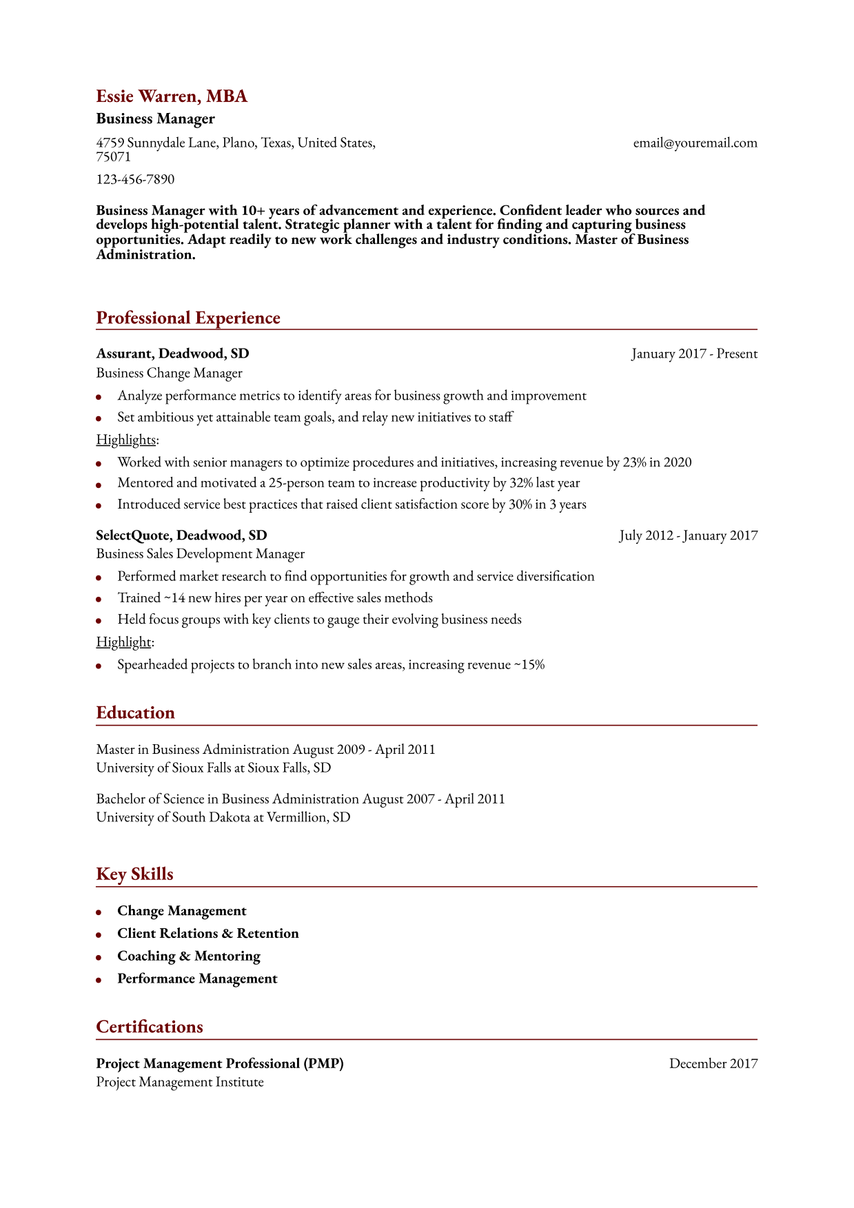 Business Resume Example
