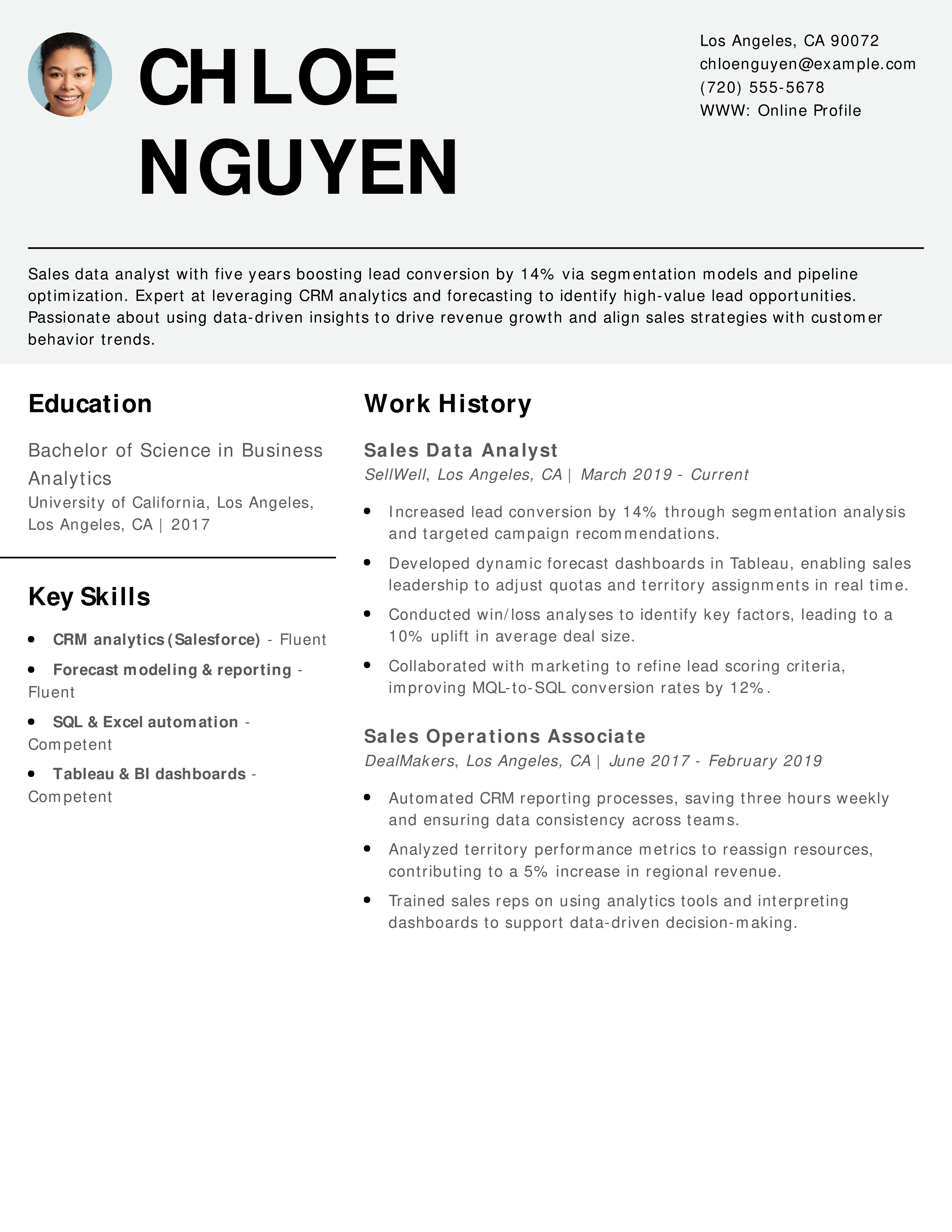 Sales Data Analyst Resume
