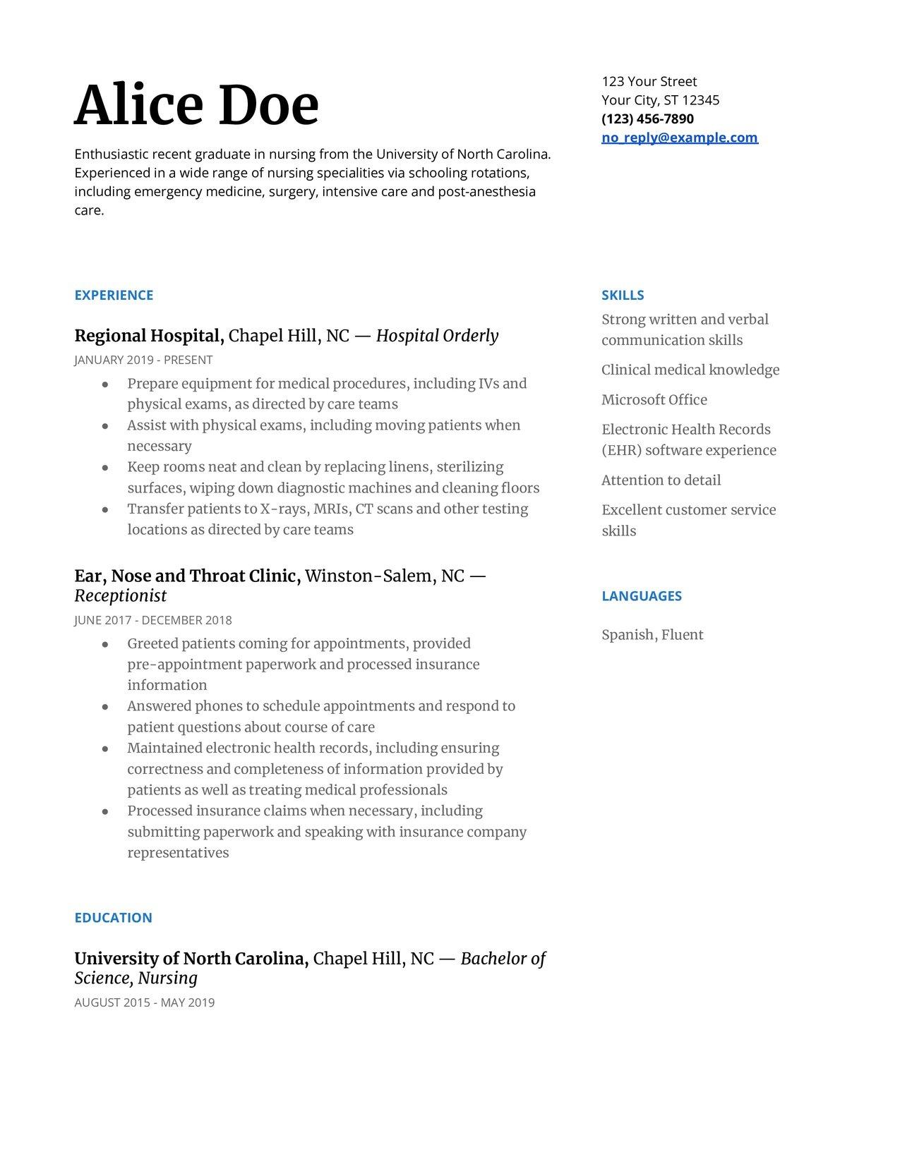 Nursing Resume Example