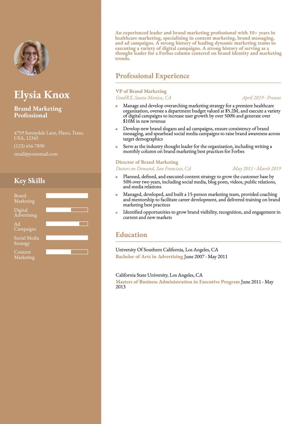 Marketing Manager Resume Example